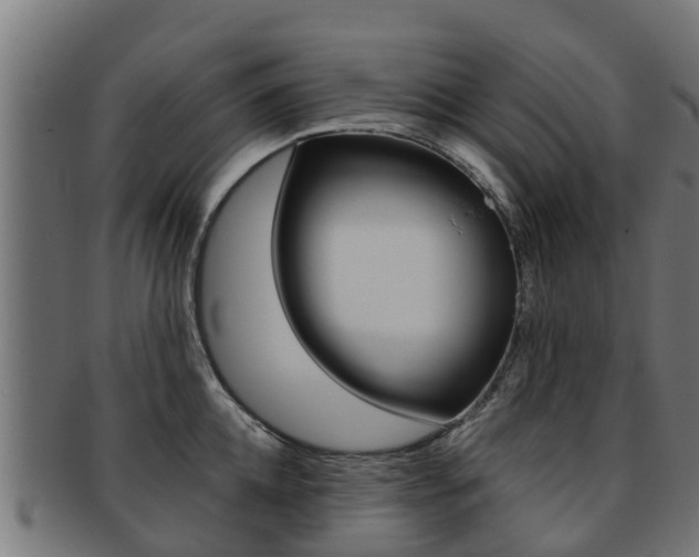 X0000091980952200709061149