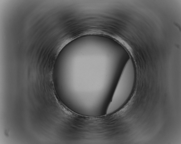 X0000091980953200709061150