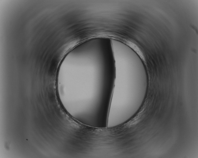 X0000091980954200709061150