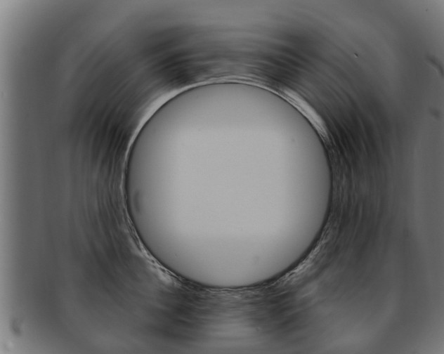 X0000091980956200709061150