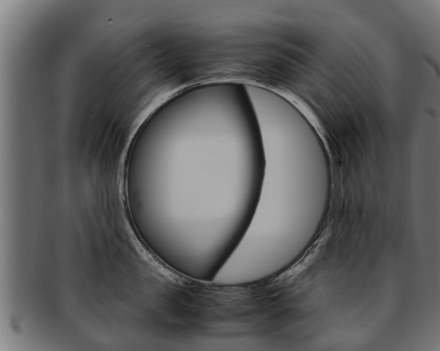 X0000091980957200709061150