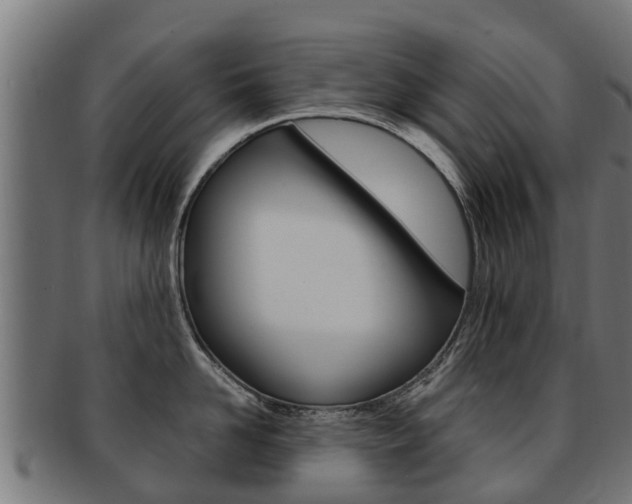 X0000091980958200709061150