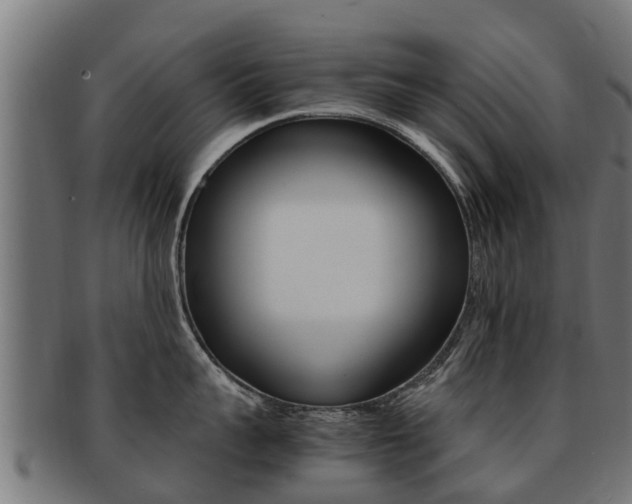 X0000091980959200709061150