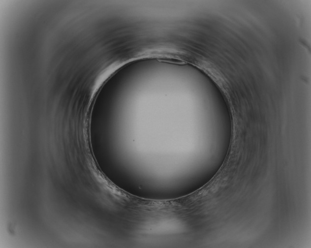 X0000091980960200709061150