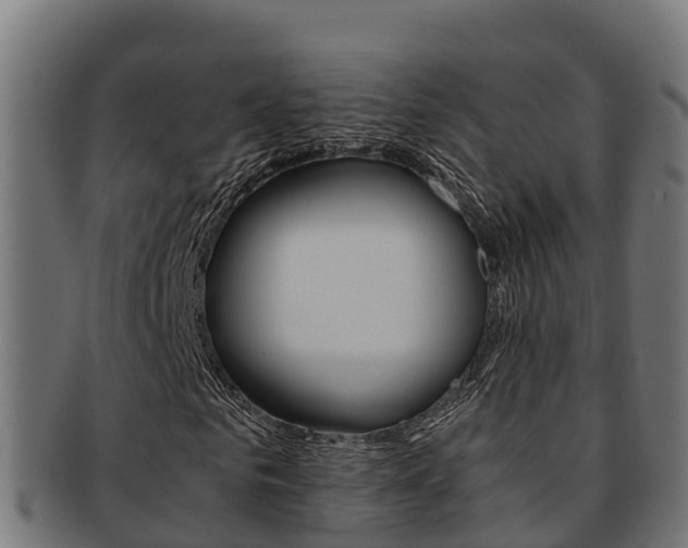 X0000091980961200709061149