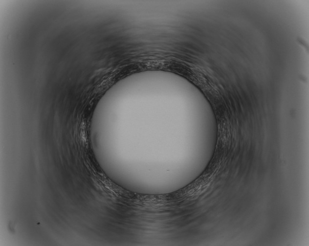 X0000091980962200709061149