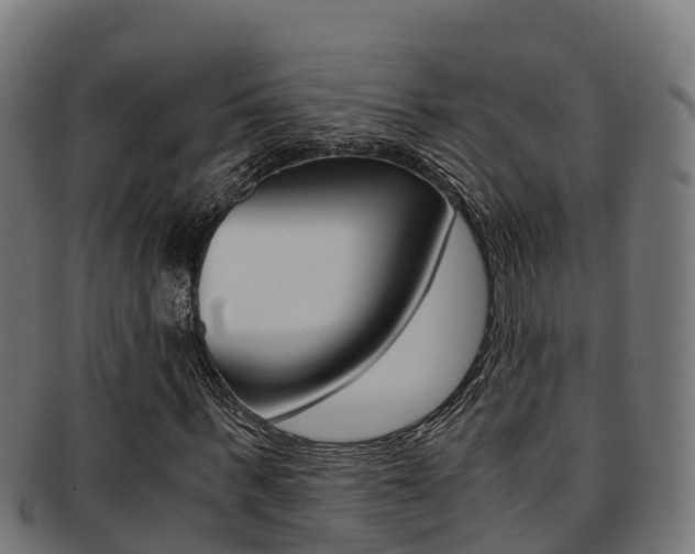 X0000091980963200709061149