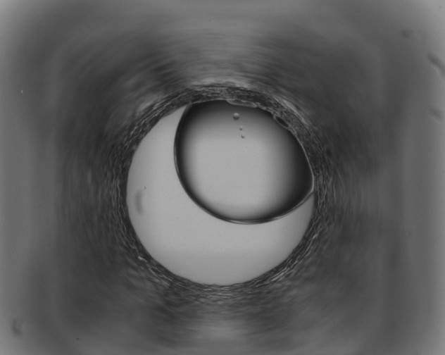 X0000091980965200709061149