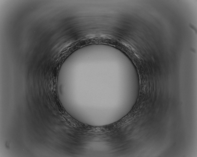 X0000091980966200709061149
