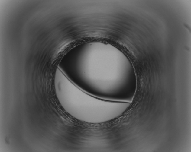 X0000091980968200709061149