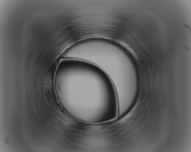 X0000091980969200709061149