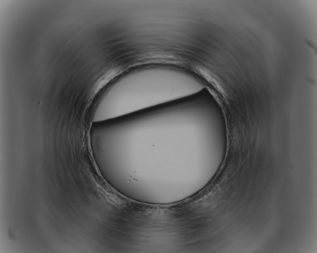 X0000091980970200709061149