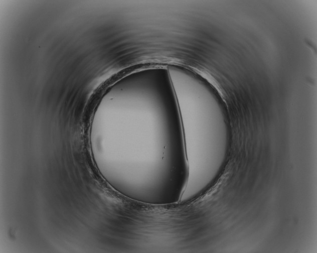 X0000091980971200709061149