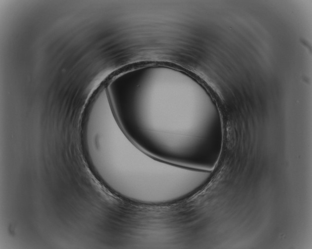 X0000091980972200709061149