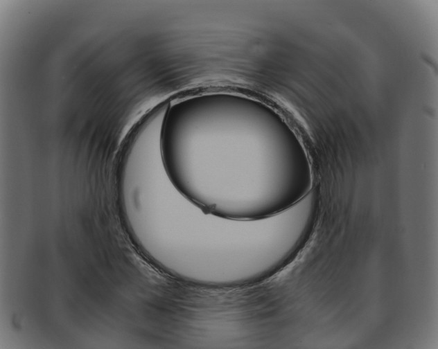 X0000091980973200709061149