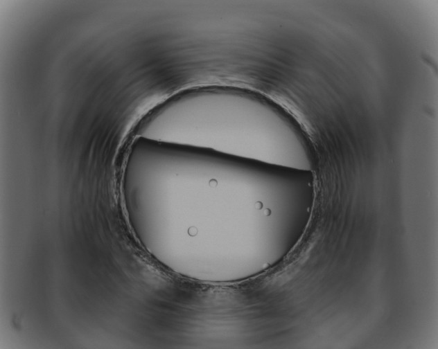 X0000091980974200709061149