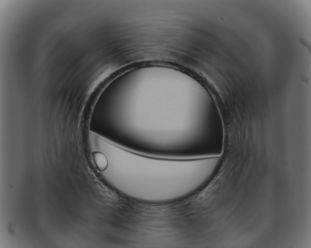 X0000091980975200709061149