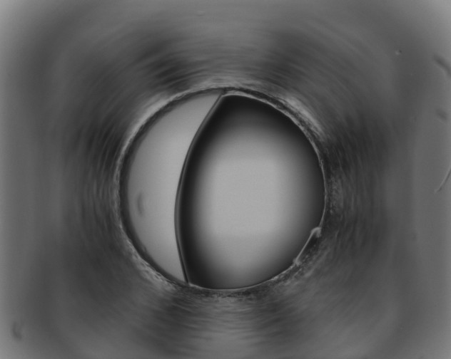 X0000091980976200709061149