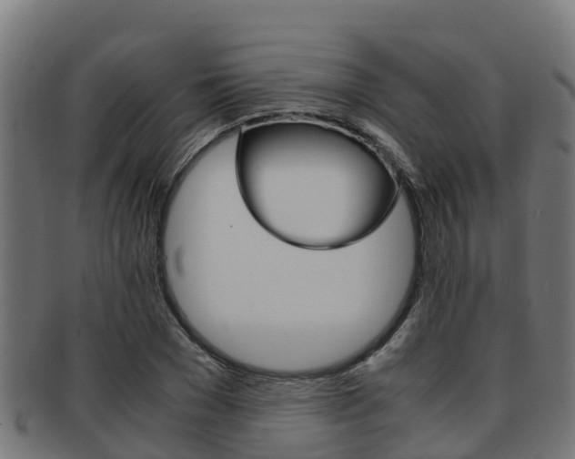 X0000091980977200709061149