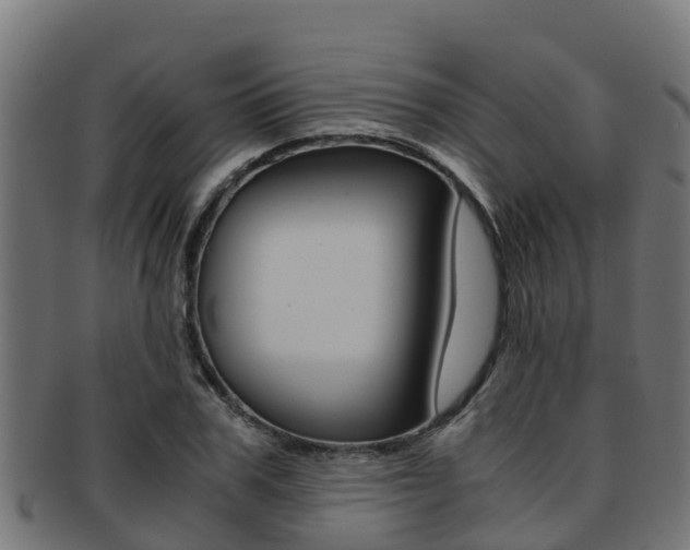 X0000091980979200709061149