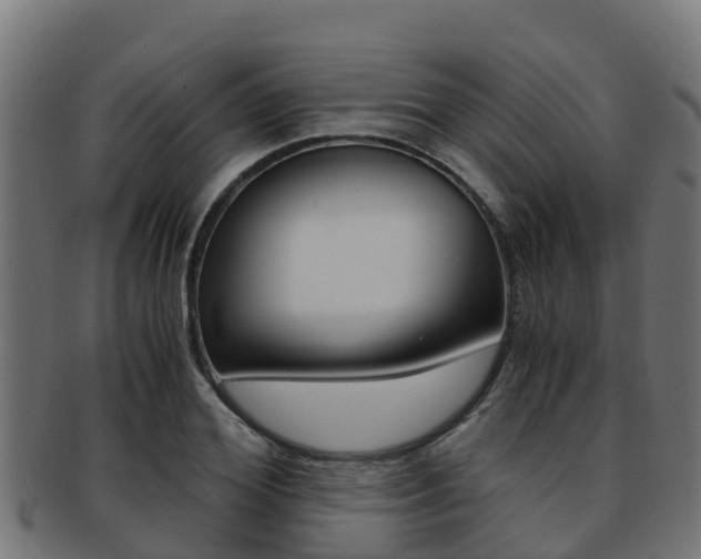 X0000091980980200709061149
