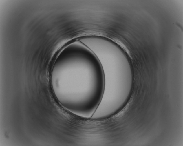 X0000091980981200709061149