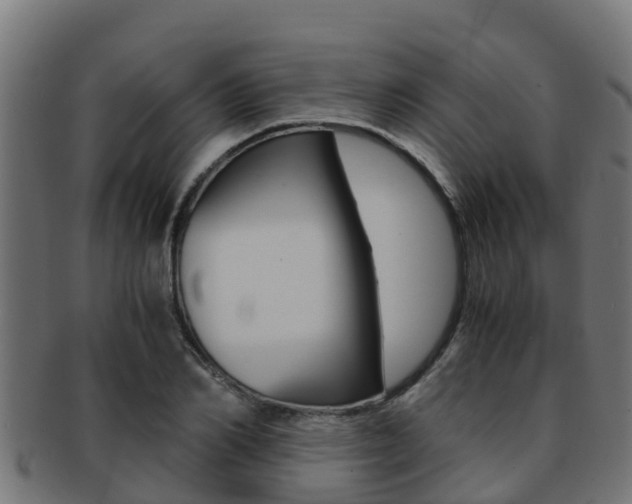 X0000091980982200709061149