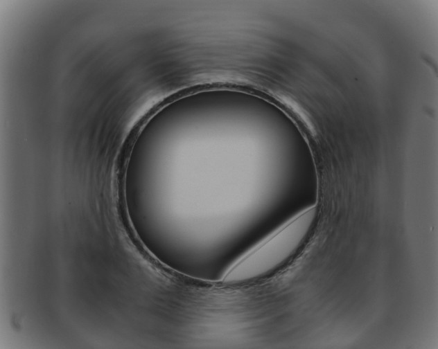 X0000091980983200709061149