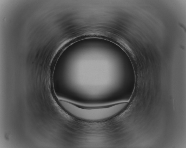 X0000091980984200709061149