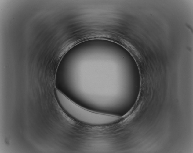 X0000091980985200709061149
