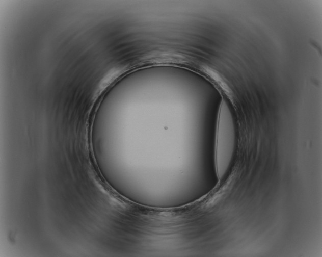 X0000091980986200709061149