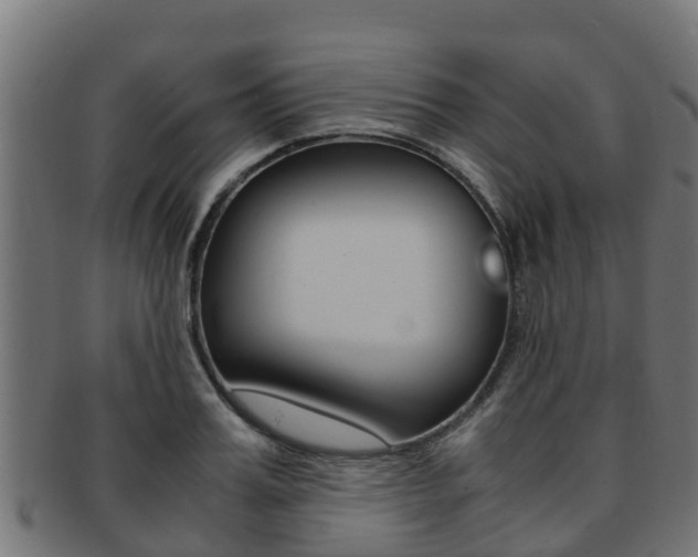 X0000091980987200709061149