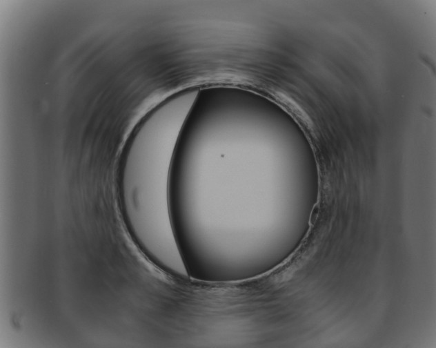 X0000091980989200709061149