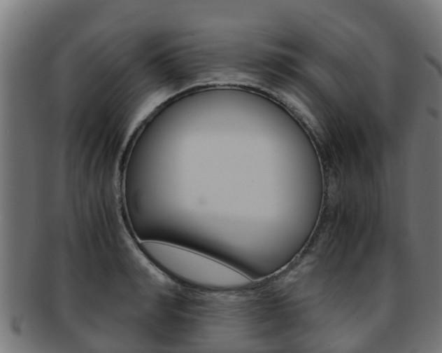 X0000091980990200709061149
