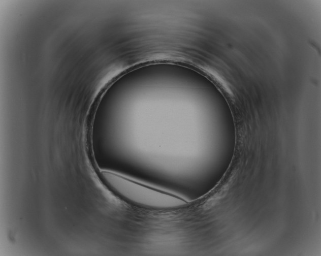 X0000091980991200709061149