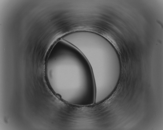 X0000091980992200709061149