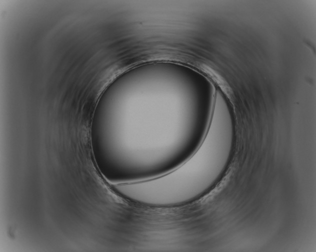 X0000091980993200709061149