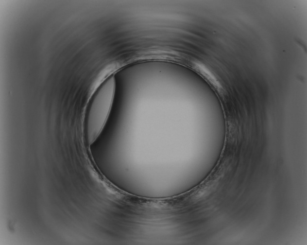 X0000091980994200709061149