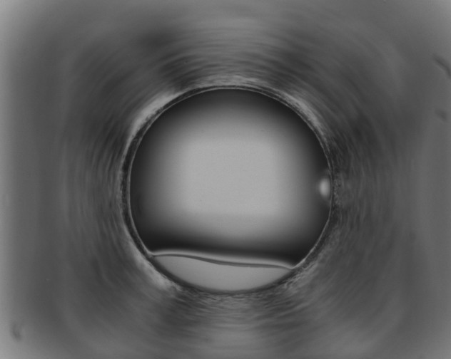 X0000091980995200709061149