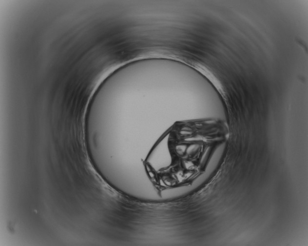 X0000091980996200709061149