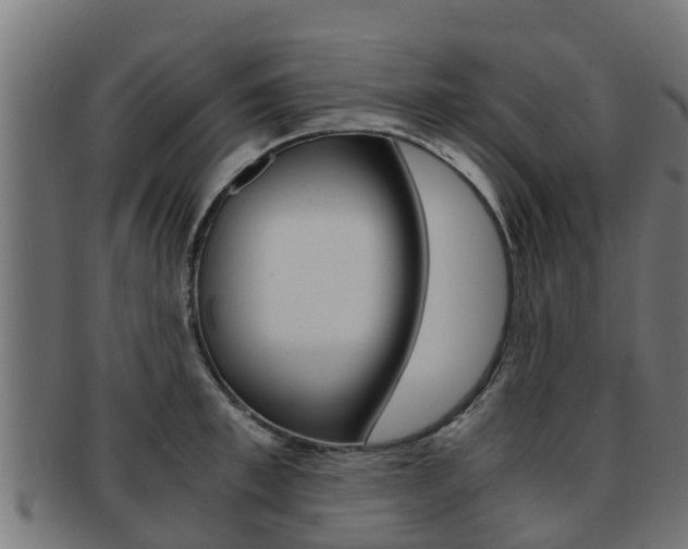 X0000091980997200709061149