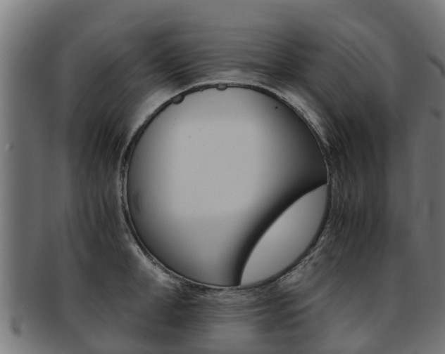 X0000091980998200709061149