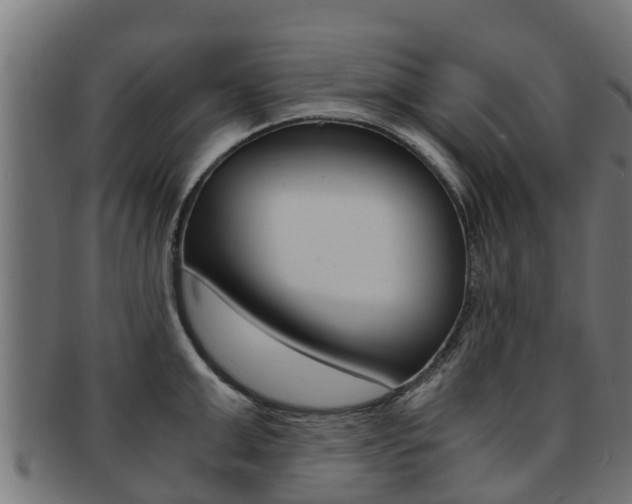 X0000091980999200709061149