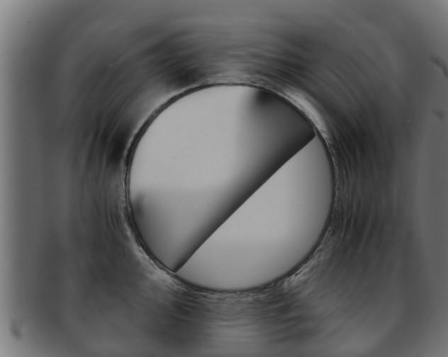 X0000091981000200709061149