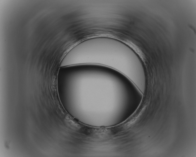 X0000091981001200709061149