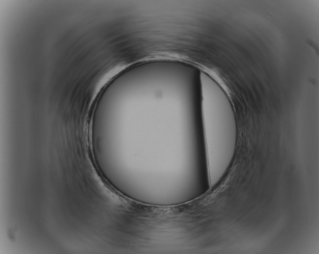 X0000091981003200709061149