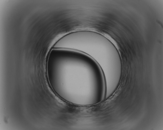 X0000091981005200709061149