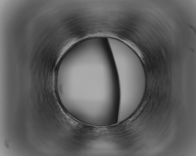 X0000091981006200709061148