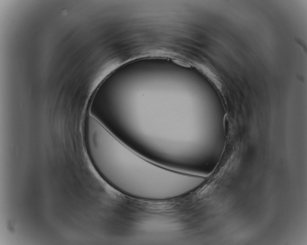 X0000091981007200709061148