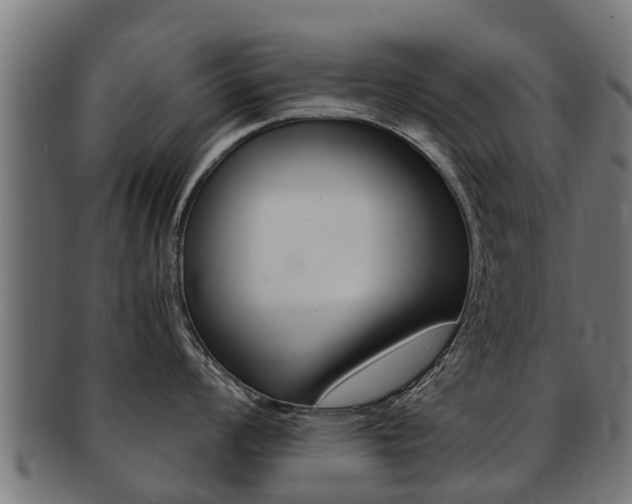 X0000091981008200709061148